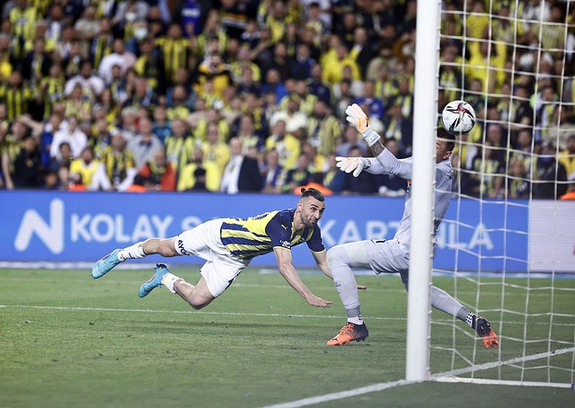 更可能带来 更可能带来