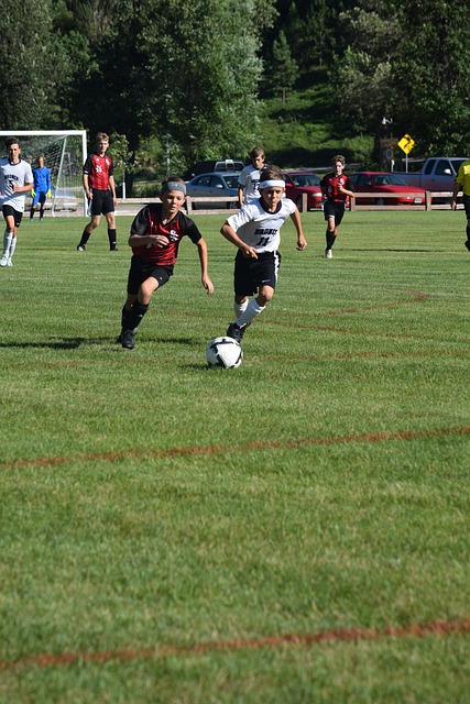 完全颠覆了 完全颠覆了