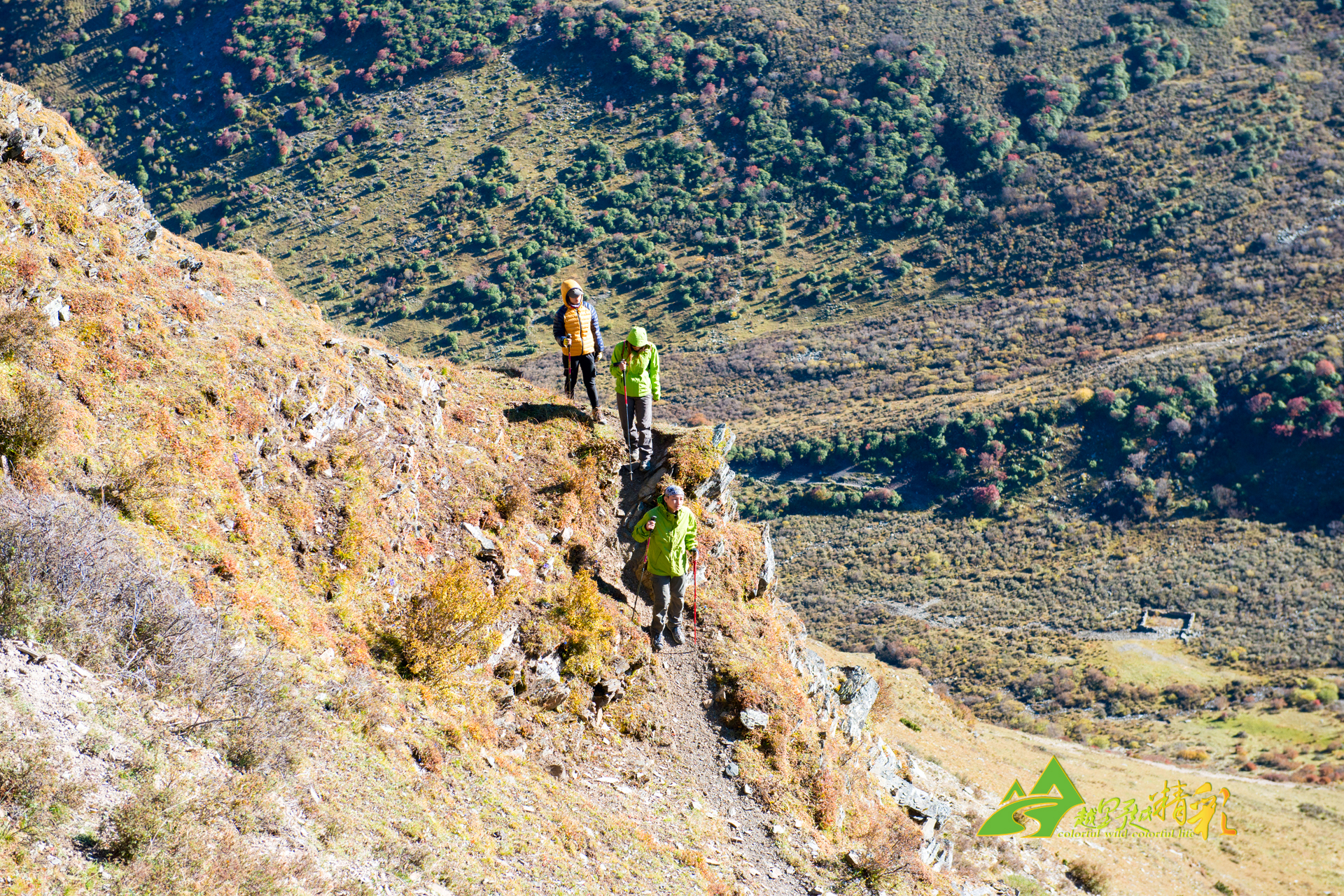 多潜在的足 多潜在的足