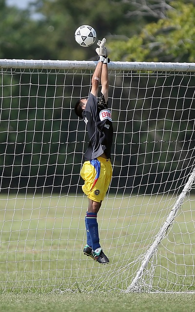 对球队实力 对球队实力